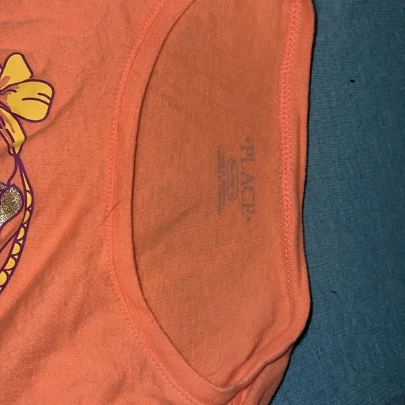 Hummingbird - Picture 4 of 4